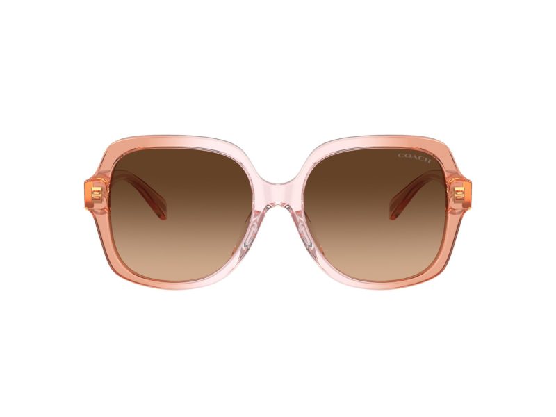 Coach Cr614 Gafas de Sol HC 8395U 581274