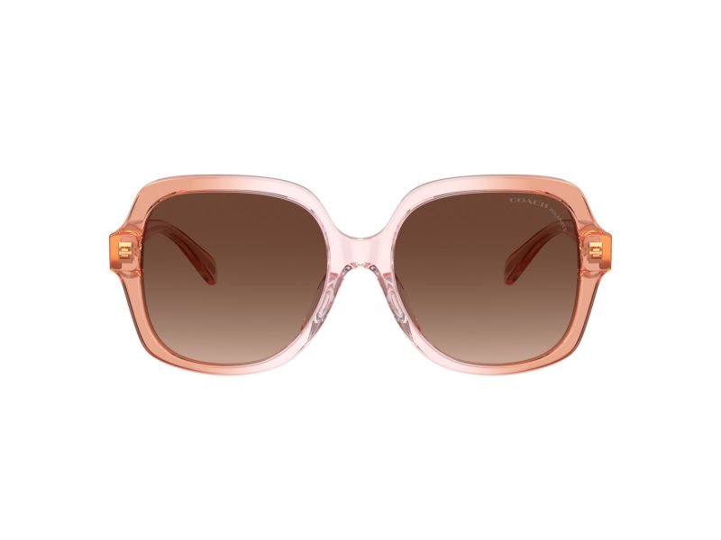Coach Cr614 Gafas de Sol HC 8395U 5812T5