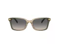 Coach Cr630 Gafas de Sol HC 8398U 5797G9