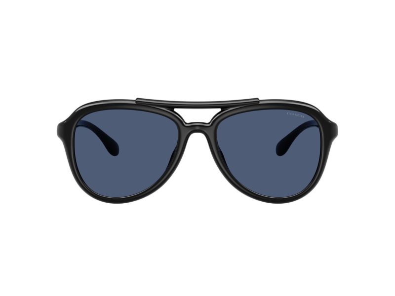 Coach Cw183 Gafas de Sol HC 8406U 500287
