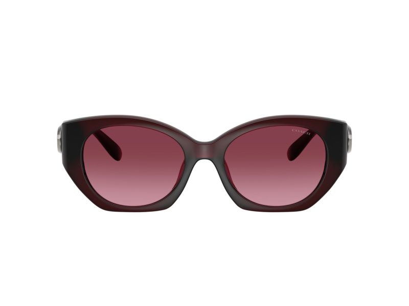 Coach Cw194 Gafas de Sol HC 8407U 53938H