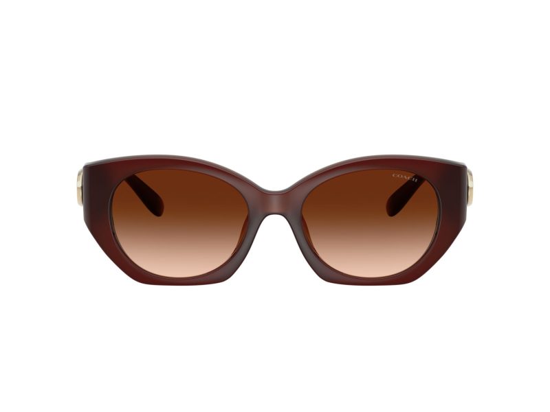Coach Cw194 Gafas de Sol HC 8407U 584174