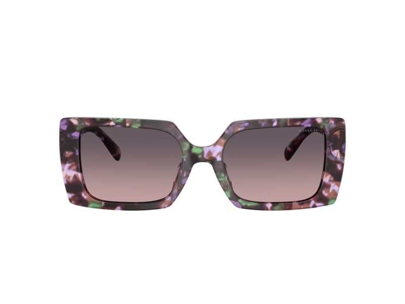 Coach Cw224 Gafas de Sol HC 8409U 584346