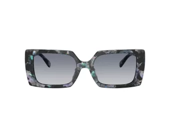 Coach Cw224 Gafas de Sol HC 8409U 584535