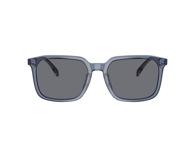 Coach Cw405 Gafas de Sol HC 8411U 582087