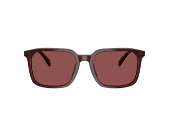 Coach Cw405 Gafas de Sol HC 8411U 585075
