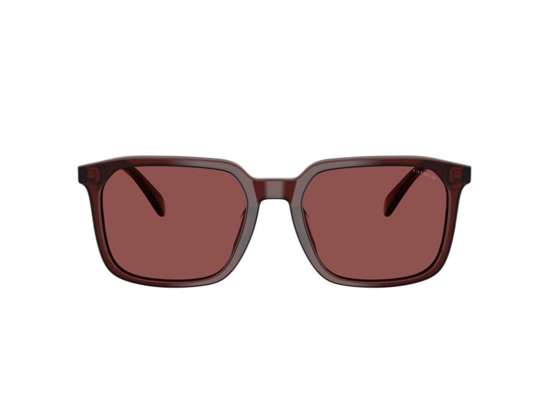 Coach Cw405 Gafas de Sol HC 8411U 585075