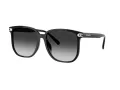 Coach Cw419 Gafas de Sol HC 8413BD 50023C