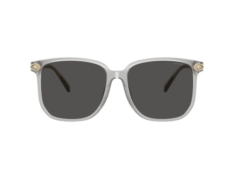 Coach Cw419 Gafas de Sol HC 8413BD 561487