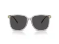 Coach Cw419 Gafas de Sol HC 8413BD 561487