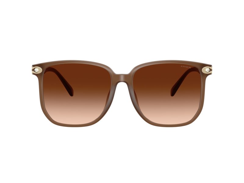 Coach Cw419 Gafas de Sol HC 8413BD 580874