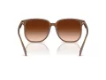 Coach Cw419 Gafas de Sol HC 8413BD 580874