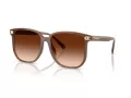 Coach Cw419 Gafas de Sol HC 8413BD 580874