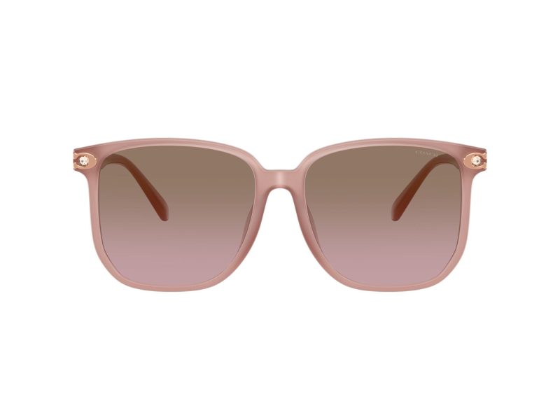 Coach Cw419 Gafas de Sol HC 8413BD 583914