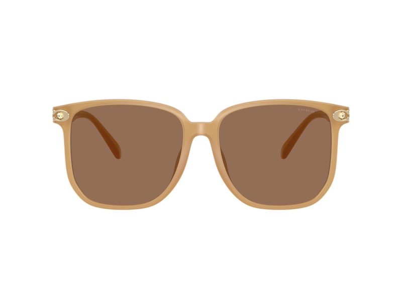 Coach Cw419 Gafas de Sol HC 8413BD 585473