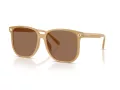 Coach Cw419 Gafas de Sol HC 8413BD 585473