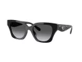 Coach Cad18 Gafas de Sol HC 8418U 5002T3