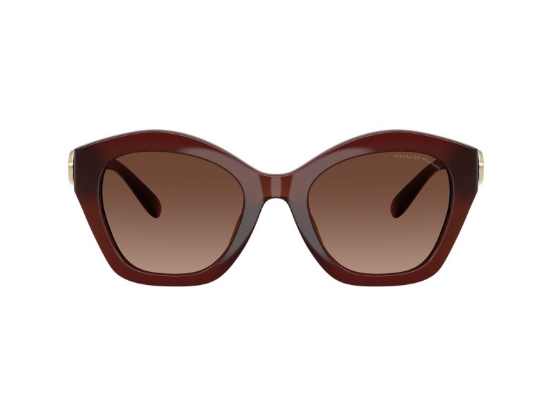 Coach Cad31 Gafas de Sol HC 8421U 5841T5