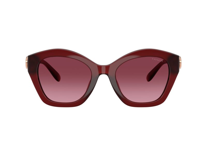 Coach Cad31 Gafas de Sol HC 8421U 58708H