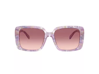 Coach Cad54 Gafas de Sol HC 8424U 58677W