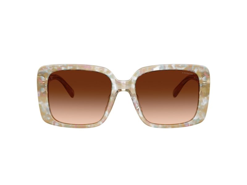 Coach Cad54 Gafas de Sol HC 8424U 586874