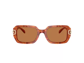 Coach Cad74 Gafas de Sol HC 8425U 577473