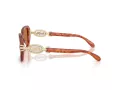 Coach Cad74 Gafas de Sol HC 8425U 577473