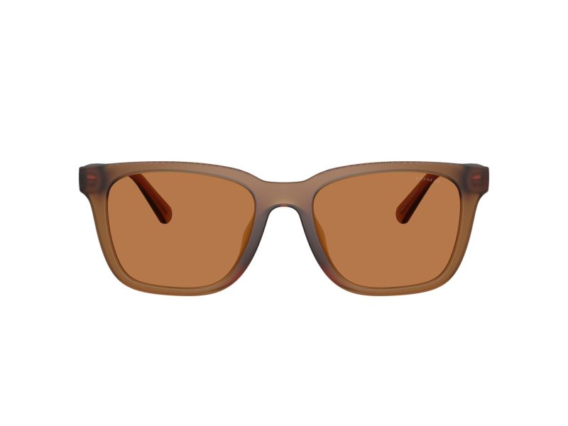 Coach Cad81 Gafas de Sol HC 8426U 587673