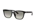Coach Cae86 Gafas de Sol HC 8429D 50023C