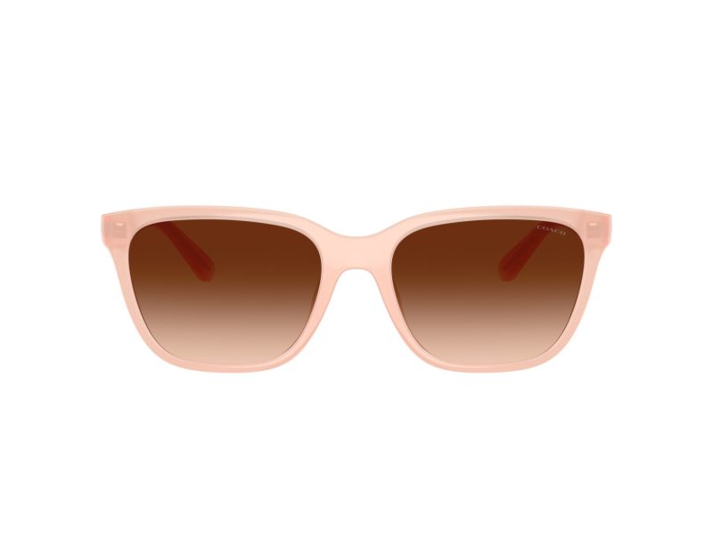 Coach Cae86 Gafas de Sol HC 8429D 511374