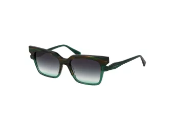 Ana Hickmann Gafas de Sol HI 9228 P01