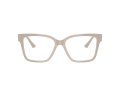 Jimmy Choo Gafas Graduadas JC 3006U 5033_55