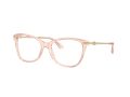 Jimmy Choo Gafas Graduadas JC 3007HB 5034_52