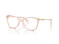 Jimmy Choo Gafas Graduadas JC 3007HB 5034_52