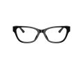 Jimmy Choo Gafas Graduadas JC 3010U 5017_52