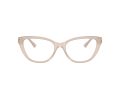 Jimmy Choo Gafas Graduadas JC 3011 5025_54