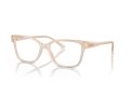 Jimmy Choo Gafas Graduadas JC 3012 5025_55