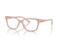 Jimmy Choo Gafas Graduadas JC 3012 5027_55