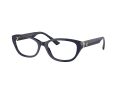 Jimmy Choo Gafas Graduadas JC 3015 5023_53