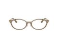 Jimmy Choo Gafas Graduadas JC 3029D 5051