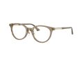 Jimmy Choo Gafas Graduadas JC 3039D 5051