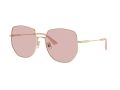 Jimmy Choo Gafas de Sol JC 4006BD 3006/5