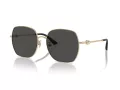 Jimmy Choo Gafas de Sol JC 4008HD 300687