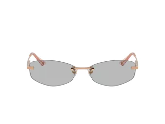 Jimmy Choo Gafas de Sol JC 4013D 300887