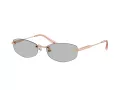 Jimmy Choo Gafas de Sol JC 4013D 300887