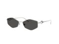 Jimmy Choo Gafas de Sol JC 4017 300287