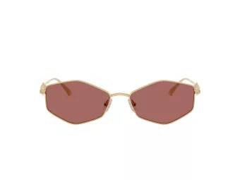 Jimmy Choo Gafas de Sol JC 4017 302369