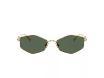 Jimmy Choo Gafas de Sol JC 4017 302371