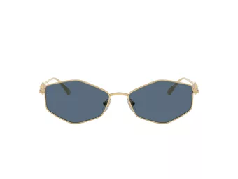 Jimmy Choo Gafas de Sol JC 4017 302380