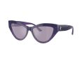 Jimmy Choo Gafas de Sol JC 5004 50482S